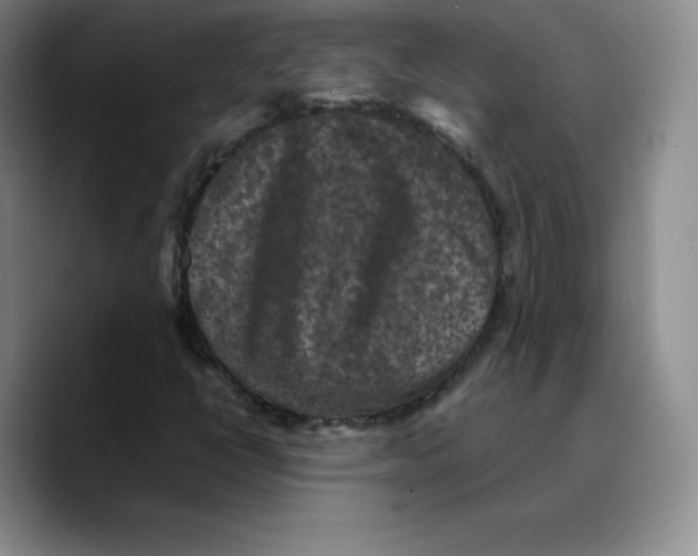 X0000089691398200707201711