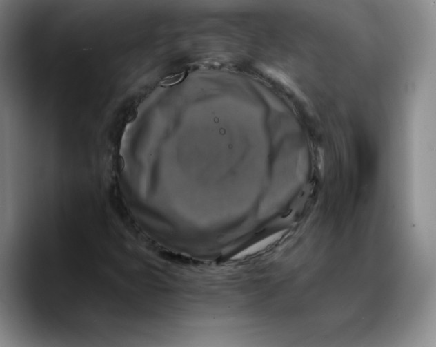 X0000089691399200707201711