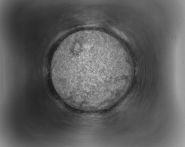 X0000089691400200707201711