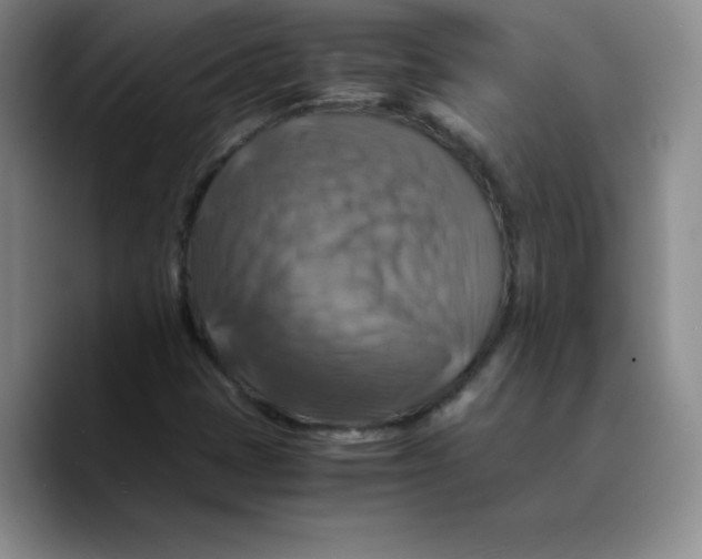 X0000089691401200707201711