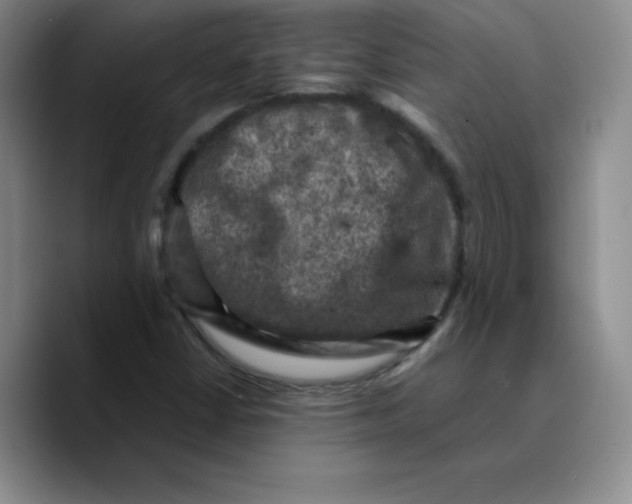 X0000089691402200707201711