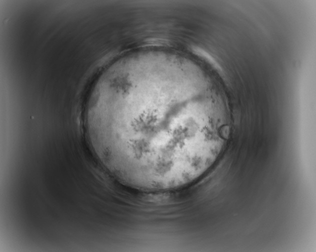 X0000089691403200707201711