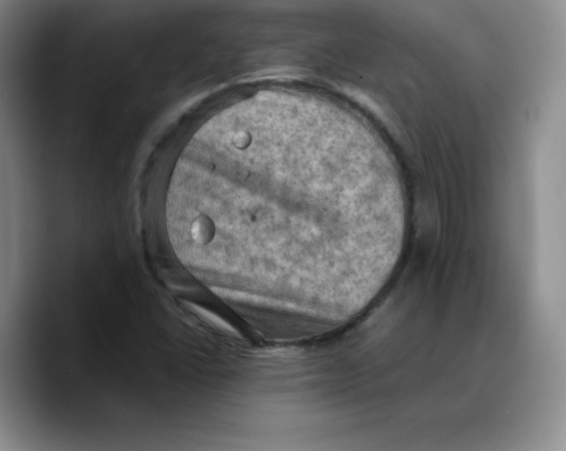 X0000089691406200707201711