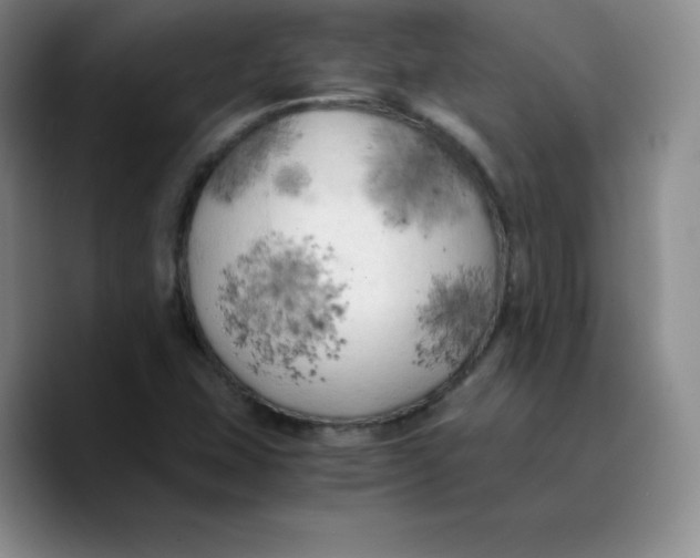 X0000089691407200707201711