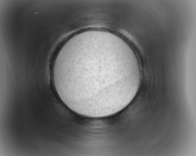 X0000089691408200707201711