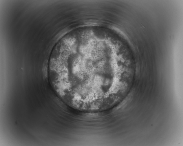 X0000089691409200707201711