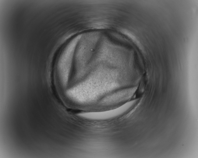 X0000089691410200707201711