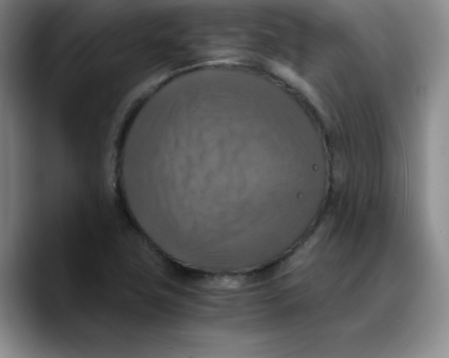 X0000089691411200707201711