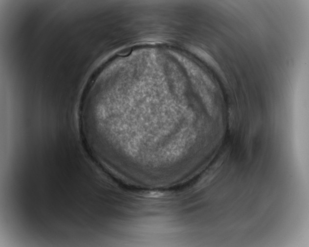 X0000089691412200707201711