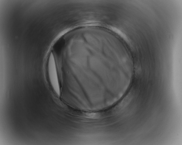 X0000089691413200707201711