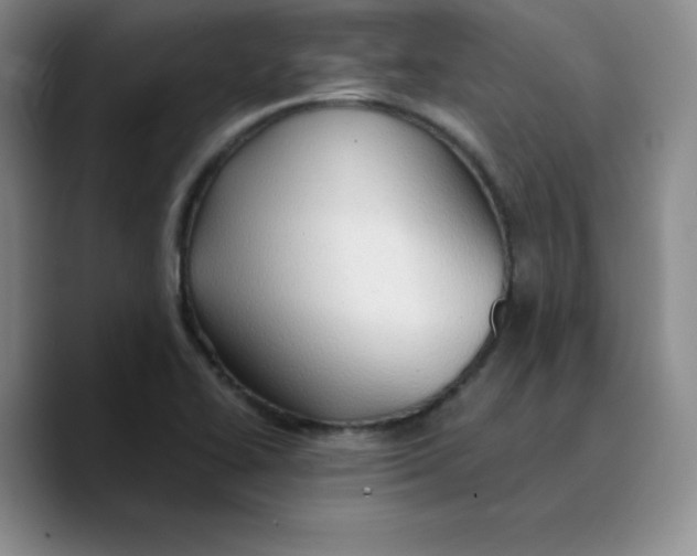 X0000089691414200707201711