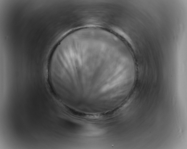 X0000089691415200707201711