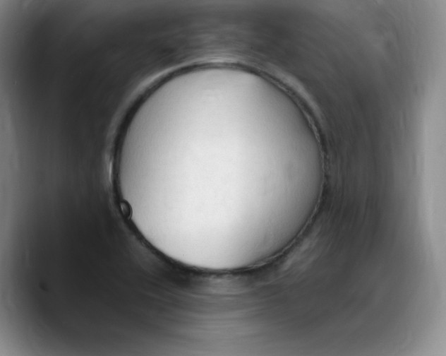 X0000089691416200707201711