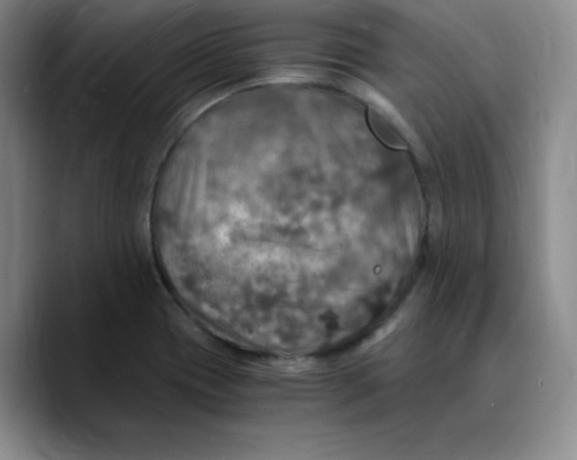 X0000089691417200707201711