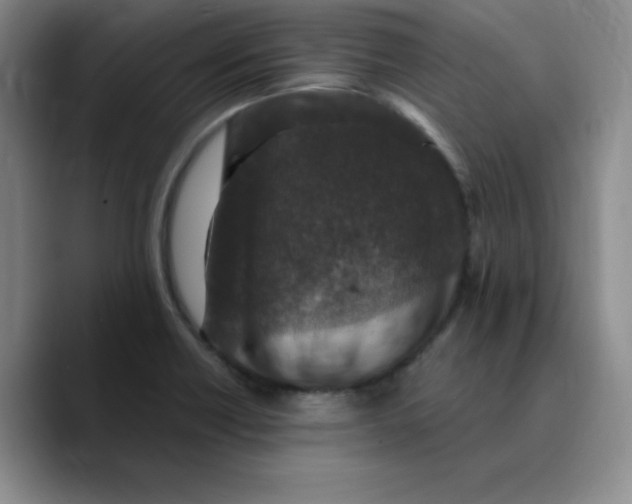 X0000089691418200707201711