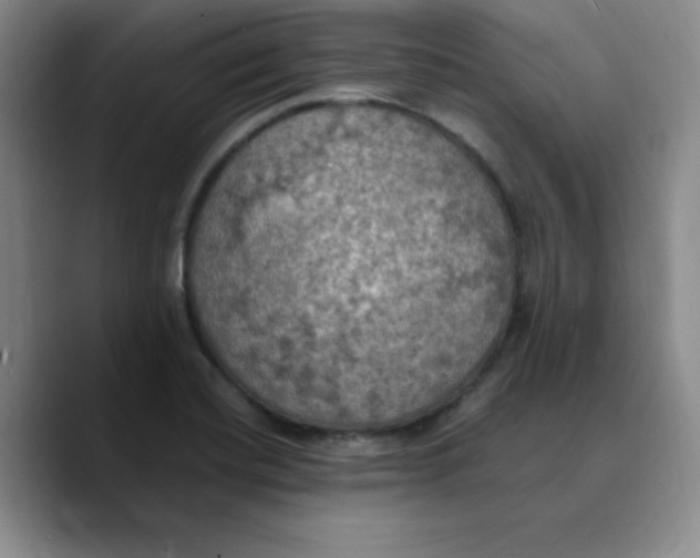 X0000089691420200707201711