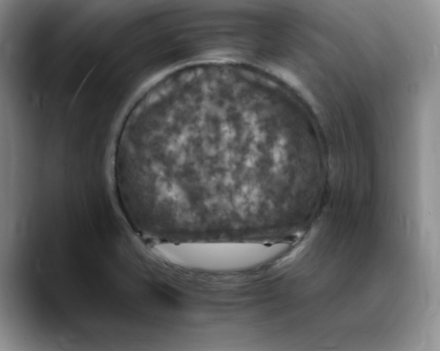 X0000089691421200707201711