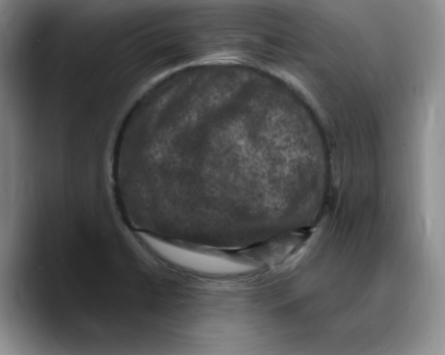 X0000089691422200707201711