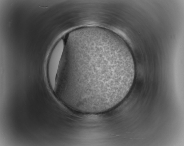 X0000089691424200707201711