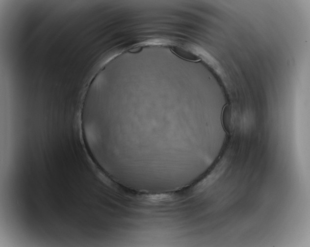 X0000089691425200707201711