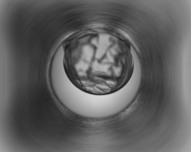 X0000089691426200707201711