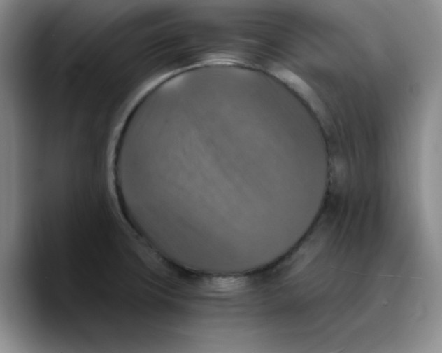 X0000089691427200707201711