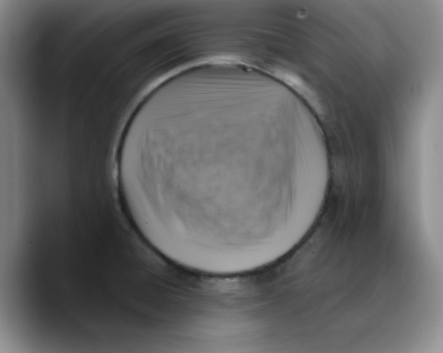 X0000089691428200707201711