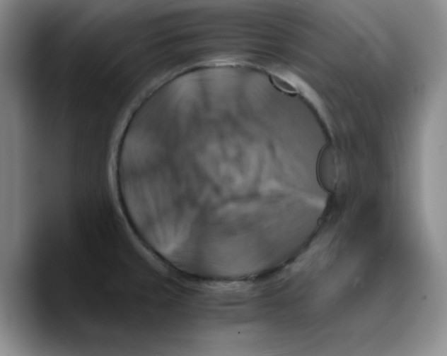 X0000089691429200707201711