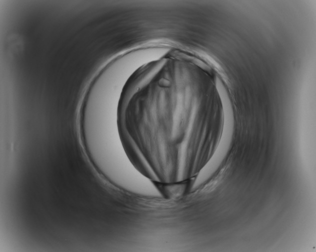 X0000089691430200707201711