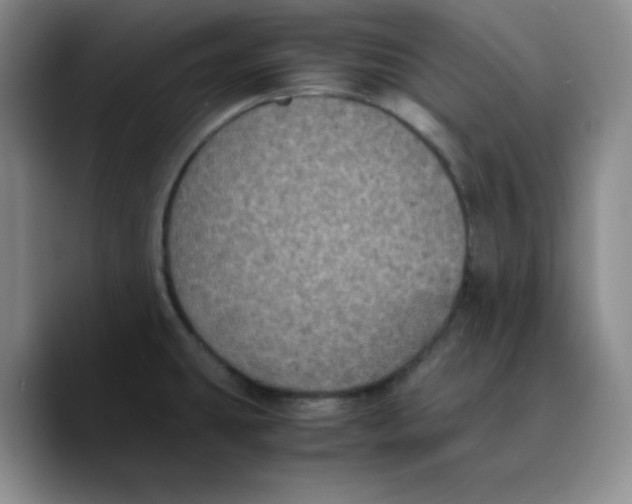 X0000089691431200707201711