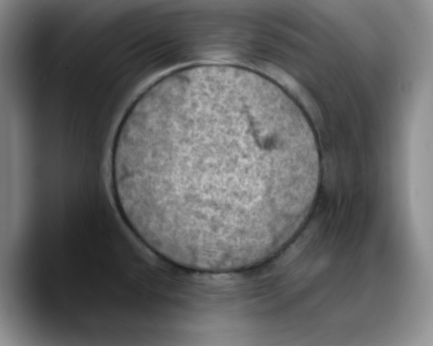 X0000089691432200707201711