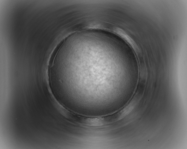 X0000089691434200707201711