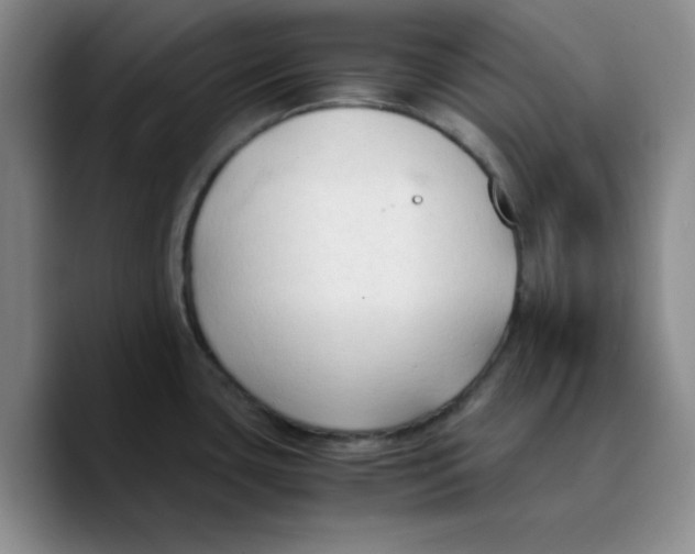 X0000089691435200707201711