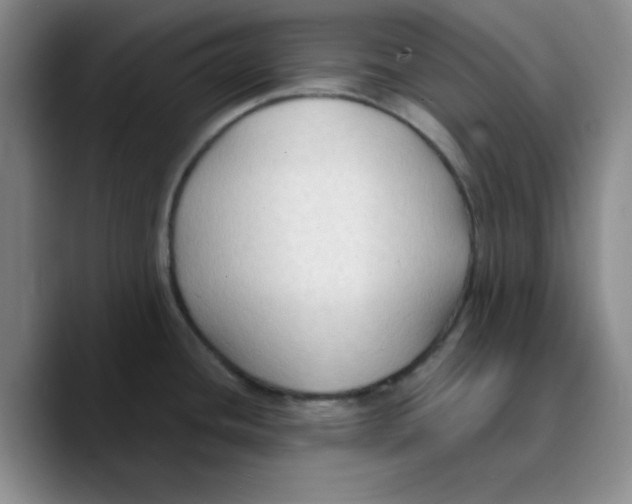 X0000089691436200707201711