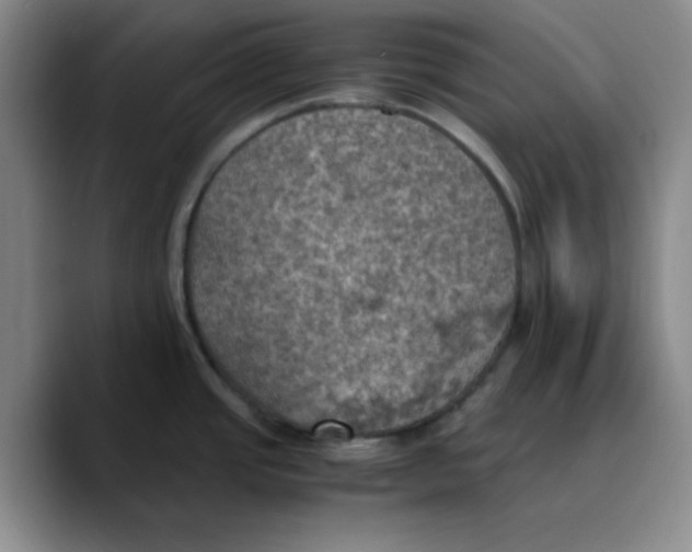 X0000089691437200707201711