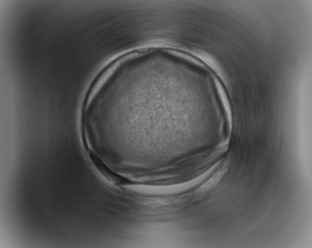 X0000089691438200707201711