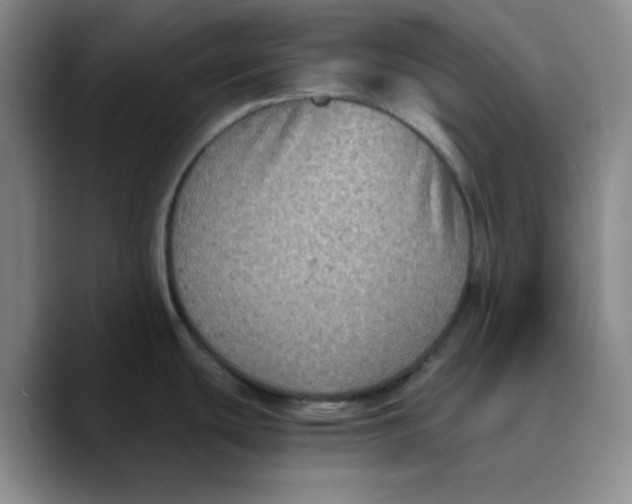 X0000089691439200707201711