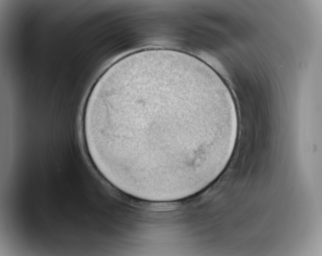 X0000089691440200707201711