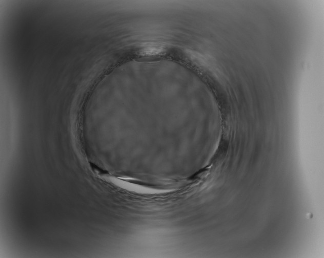 X0000089691441200707201710