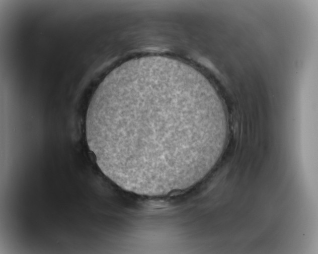 X0000089691448200707201710