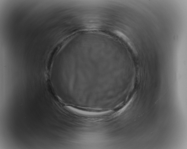 X0000089691449200707201710