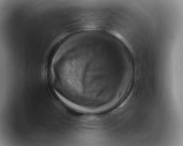 X0000089691450200707201710