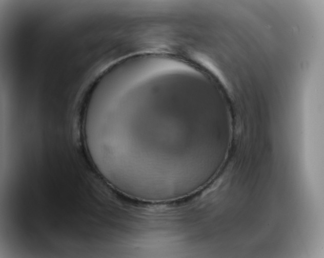 X0000089691455200707201710