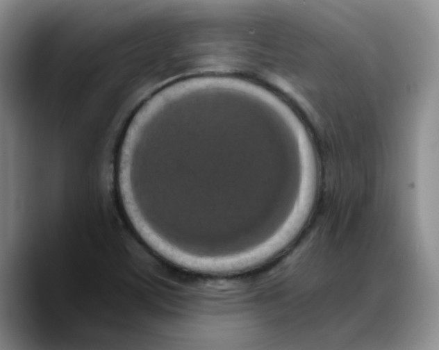 X0000089691459200707201710