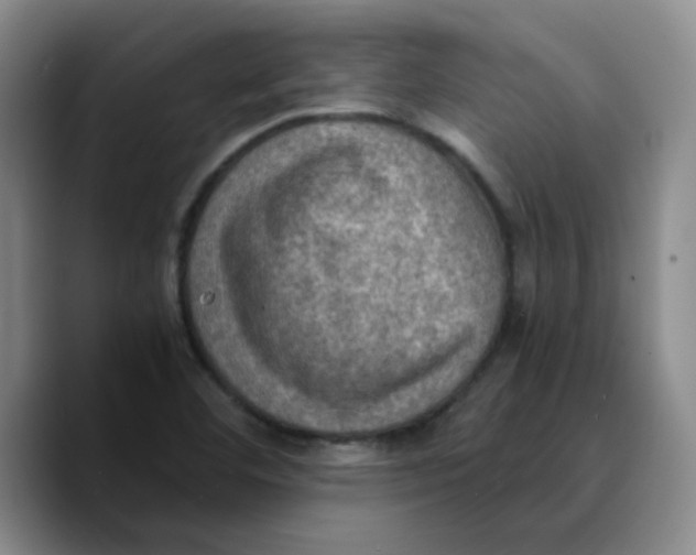 X0000089691460200707201710