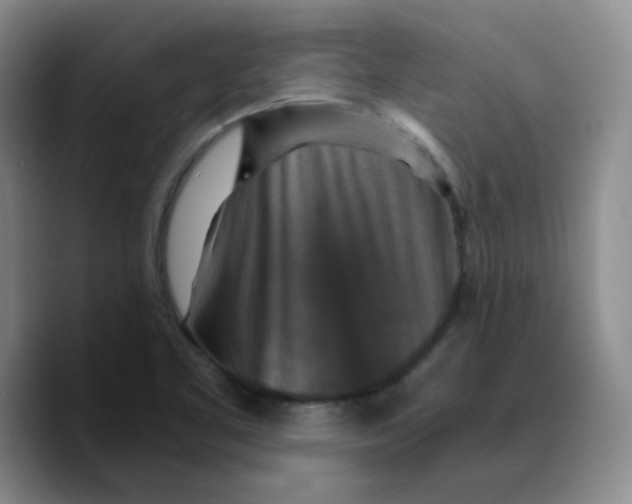 X0000089691461200707201710