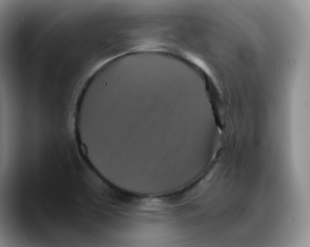 X0000089691463200707201710