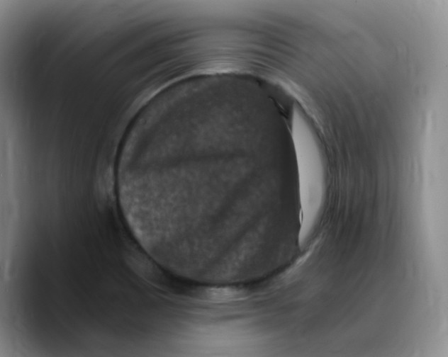 X0000089691465200707201710