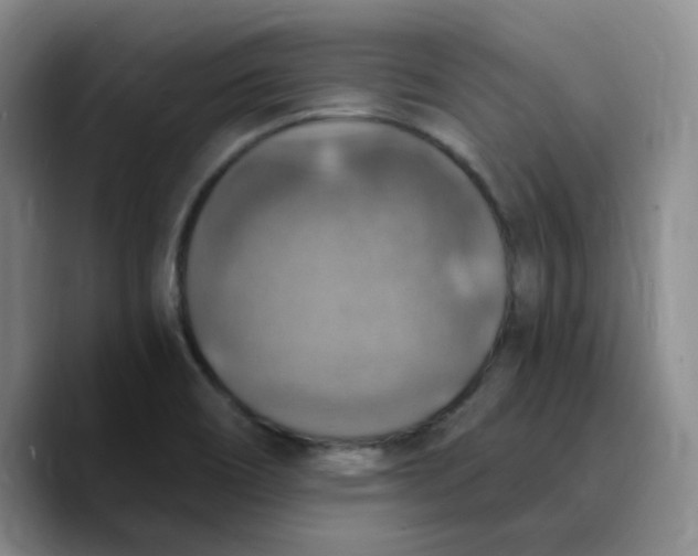 X0000089691466200707201710