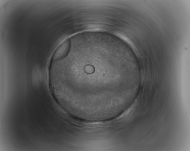 X0000089691467200707201710